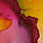 maica alonso abstracto floral 12